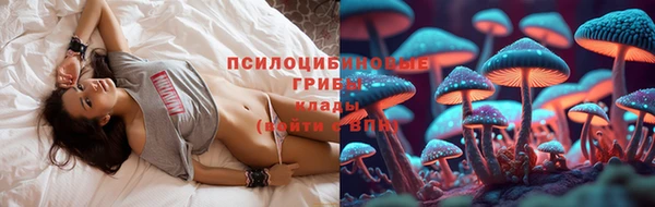 mix Абаза