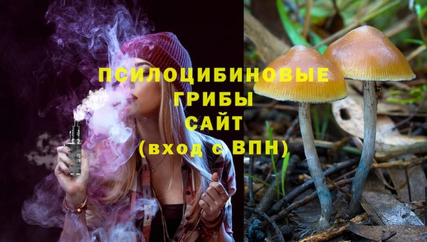 мет Алзамай