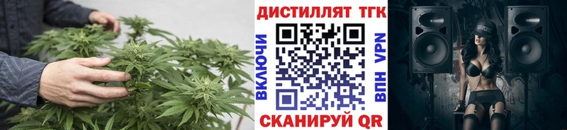 OMG вход дарнет шоп Туринск ТГК Wax