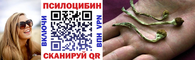 Псилоцибиновые грибы ЛСД  Туринск 